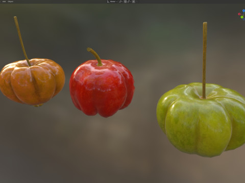 सूरीनाम चेरी पिटंगा फल 3D मॉडल