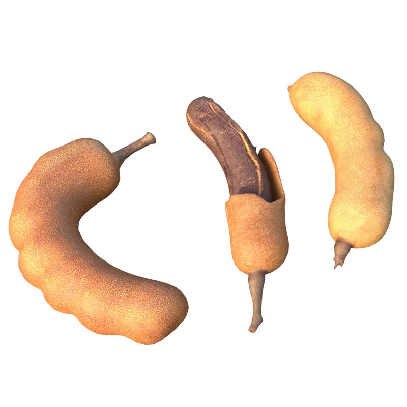 Tamarind Fruit 3D Model .c4d .max .obj .3ds .fbx .stl .blend 