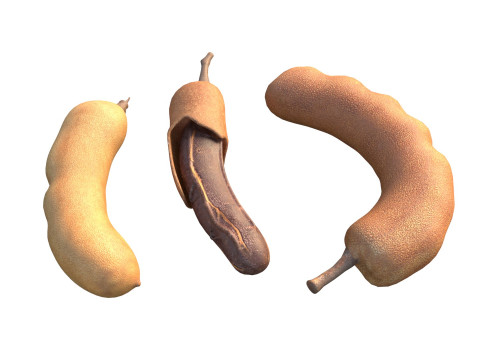 타마린드 과일 3D 모델