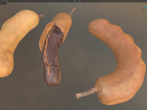 타마린드 과일 3D 모델