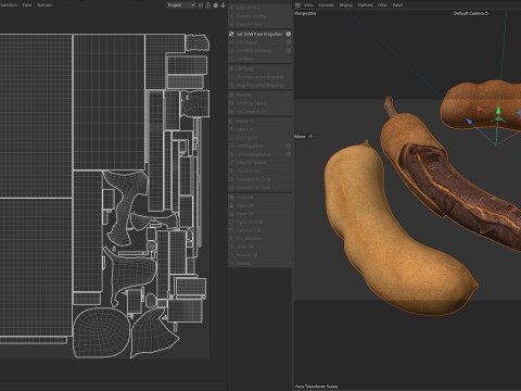타마린드 과일 3D 모델