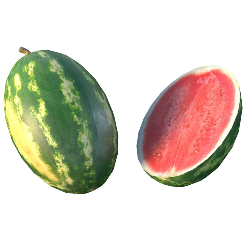 Watermelon Fruit 3D Model .c4d .max .obj .3ds .fbx .stl .blend 