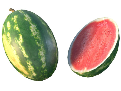 Wassermelonenfrucht 3D Modell