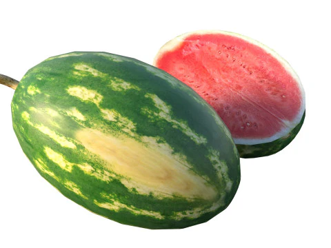 Watermelon Fruit 3D Model