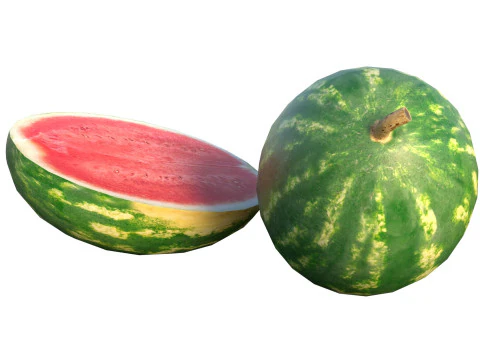 Watermelon Fruit 3D Model