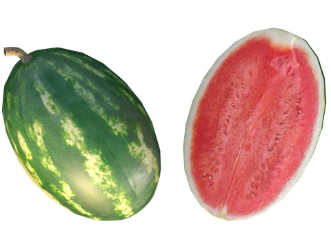 Watermelon Fruit 3D Model