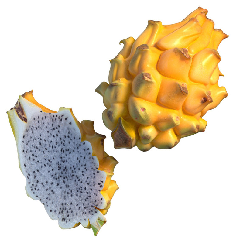 Gelbe Drachenfrucht 3D Modell .c4d .max .obj .3ds .fbx .stl .blend 