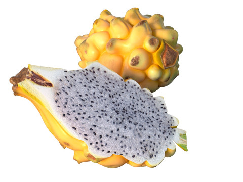 Gelbe Drachenfrucht 3D Modell