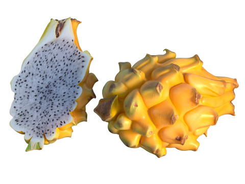 Gelbe Drachenfrucht 3D Modell