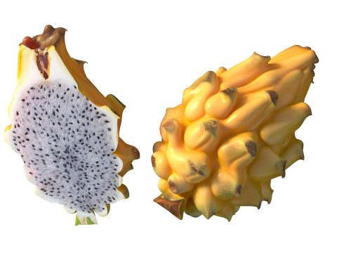 Gelbe Drachenfrucht 3D Modell