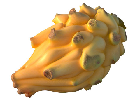 Gelbe Drachenfrucht 3D Modell