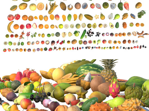 Obstsammlung 100 3D Modell