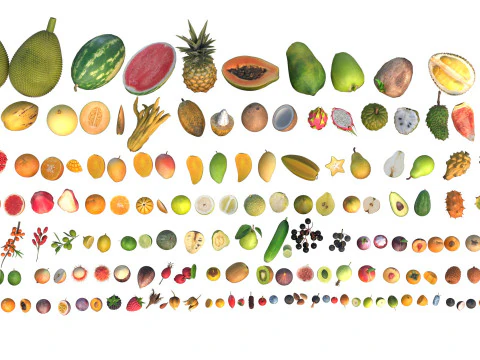 Fruits collection 100 3D Model