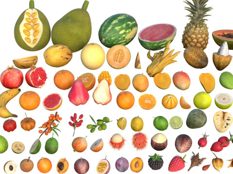 Fruits collection 100 3D Model