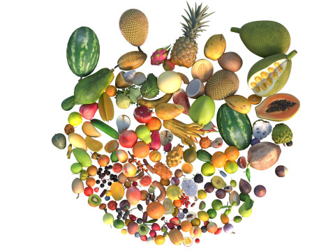 Tumpukan Buah Model 3D