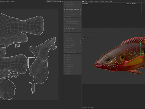 African Jewelfish 3D Model