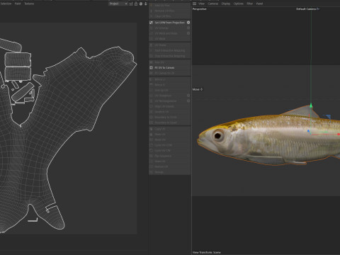 Alabama Shad Model 3D
