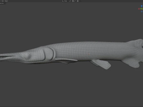 Alligator Gar fish 3D Model