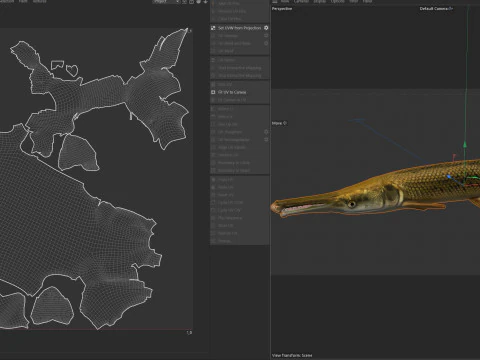 Alligator Gar fish 3D Model