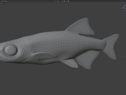 Apalachee Shiner-vis 3D Model
