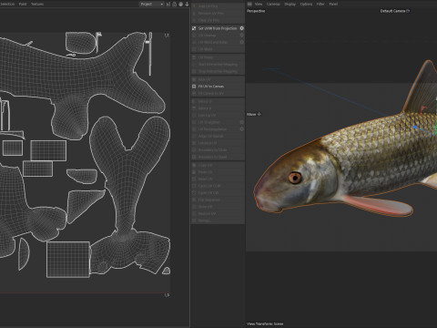 Poisson chevalier Apalachicola Modèle 3D