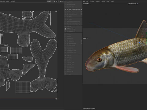 अपालाचिकोला रेडहॉर्स मछली 3D मॉडल