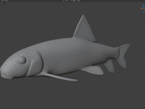 Poisson chevalier Apalachicola Modèle 3D