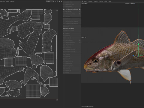 अटलांटिक क्रोकर मछली 3D मॉडल