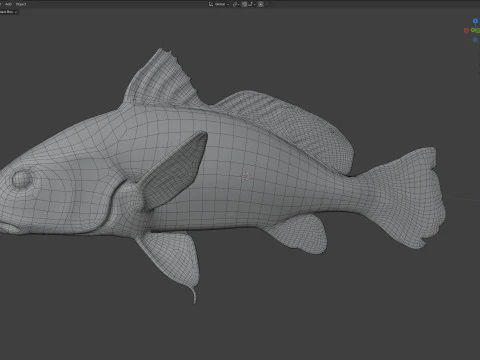 Atlantic Croaker fish 3D Model