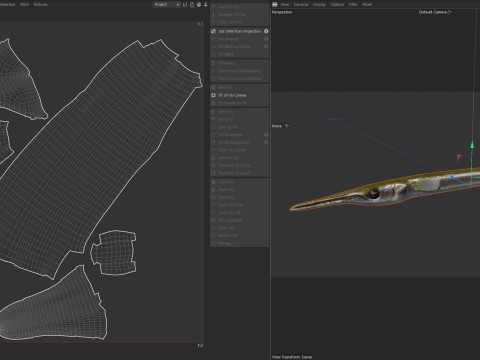 Atlantic needlefish fish 3D Model