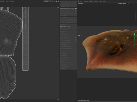 Pez raya del Atlántico Modelo 3D