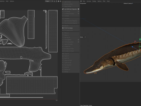 Atlantic Sturgeon fish 3D Model