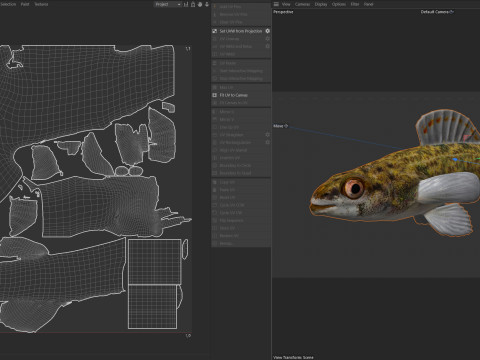 Durgun su Darter balığı 3D Model