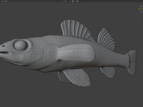 Durgun su Darter balığı 3D Model