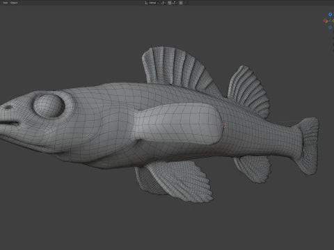 Backwater Darter fish 3D Model