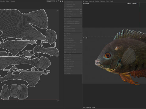 Полосатая рыба-цихлида 3D Модель