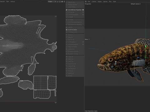 बैंडेड पिग्मी सनफिश 3D मॉडल