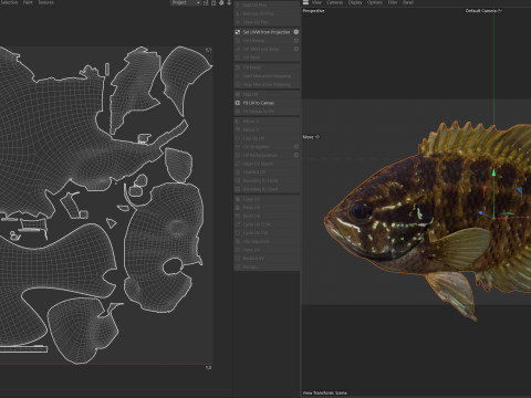 줄무늬 개복치 3D 모델