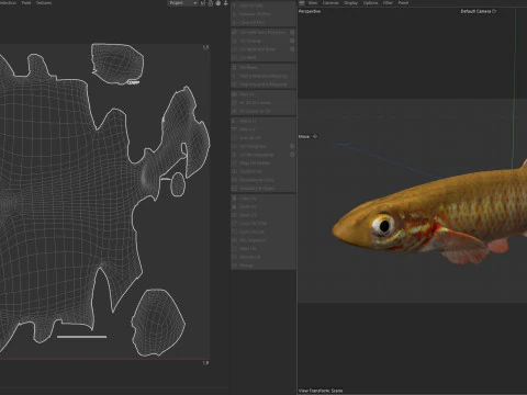 बैंडेड टॉपमिननो मछली 3D मॉडल