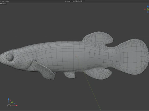 बैंडेड टॉपमिननो मछली 3D मॉडल