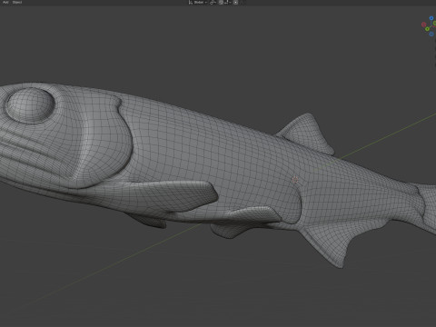 Baai ansjovis vis 3D Model