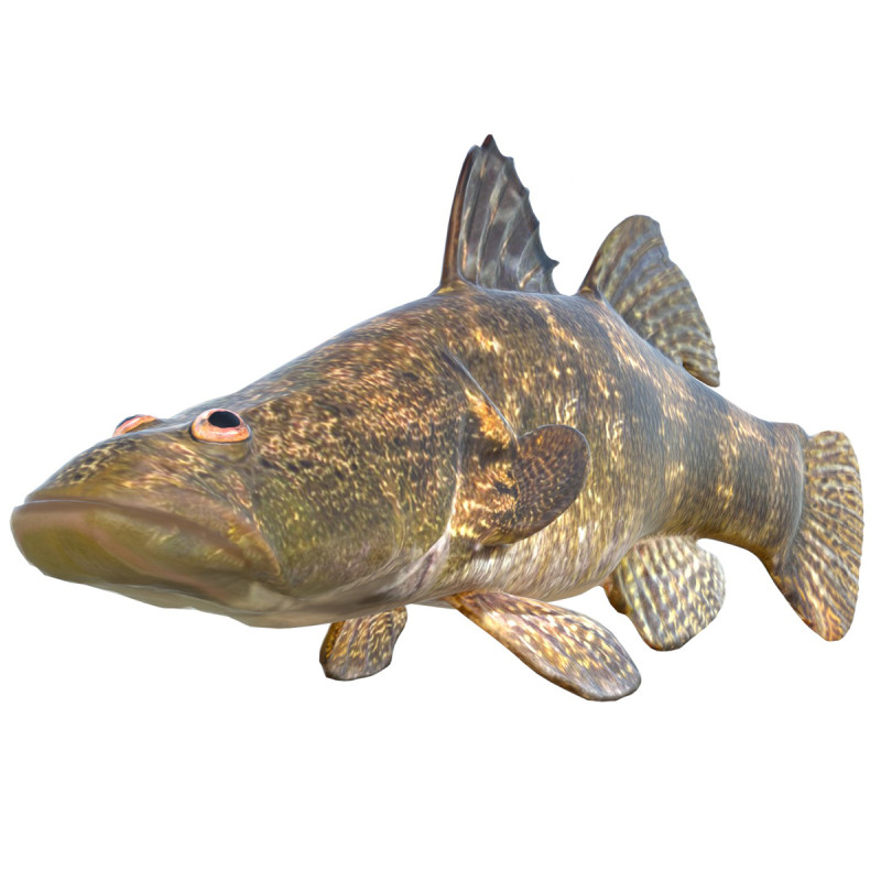 Śpiący Bigmouth Model 3D .c4d .max .obj .3ds .fbx .stl .blend 