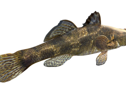 Śpiący Bigmouth Model 3D