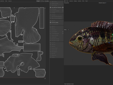 Рыба черная акара 3D Модель