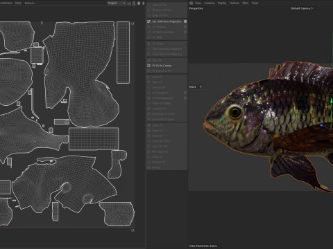Black Acara fish 3D Model