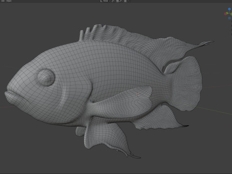Рыба черная акара 3D Модель