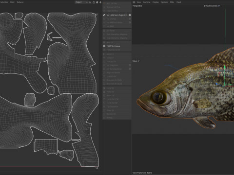 Peixe tipo de peixe preto Modelo 3D