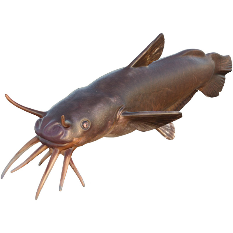 Черная рыба Мадтом 3D Модель .c4d .max .obj .3ds .fbx .stl .blend 