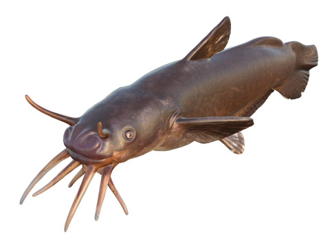 Черная рыба Мадтом 3D Модель