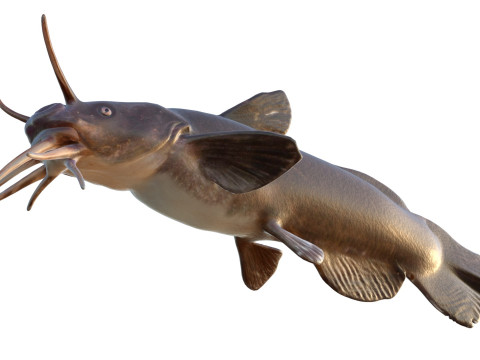 Черная рыба Мадтом 3D Модель